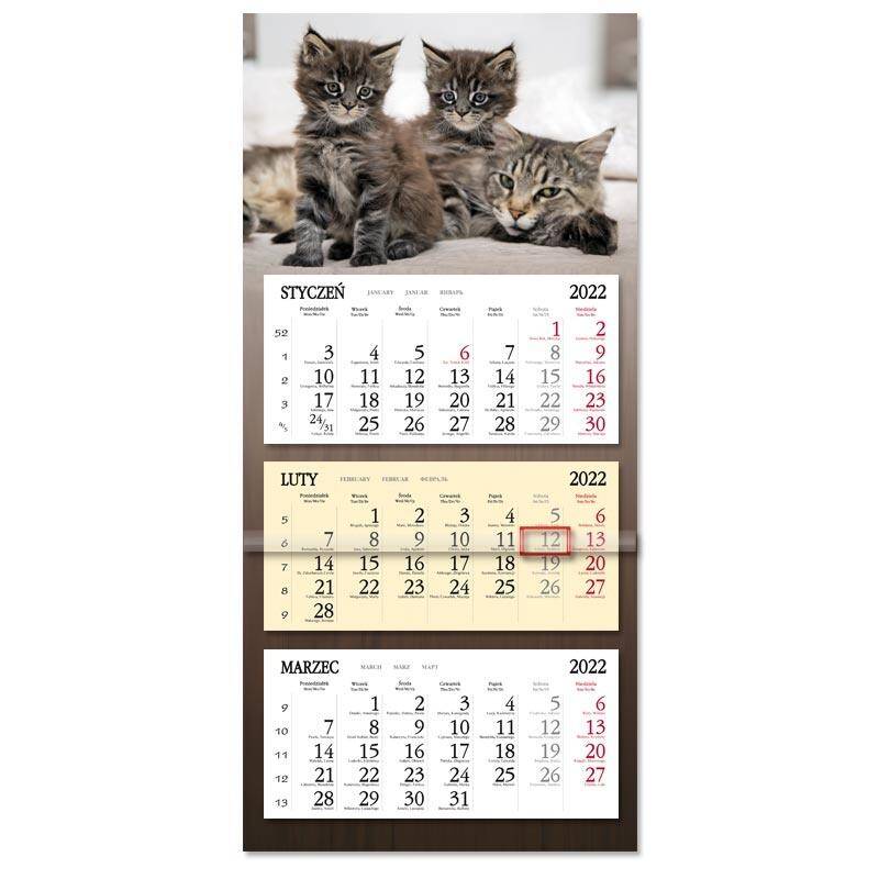 Kalendarz 2022 Trójdzielny płaska główka SB8 koty
