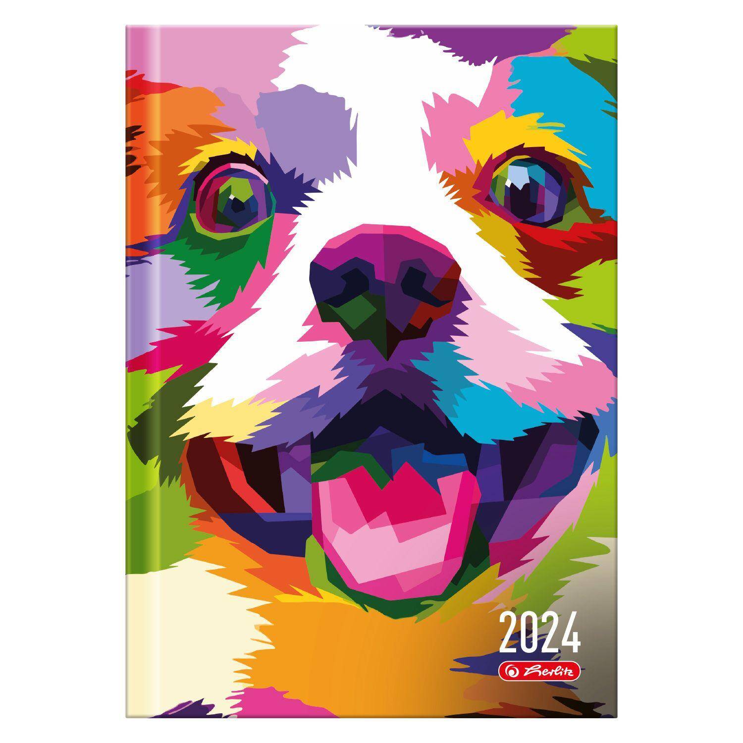 Kalendarz 2024 dzienny A5 kolorowy pies