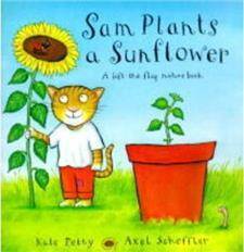 Sam Plants A Sunflower