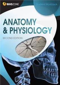 Anatomy & Physiology : Student Workbook