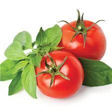 Serwetki Garden Tomatoes