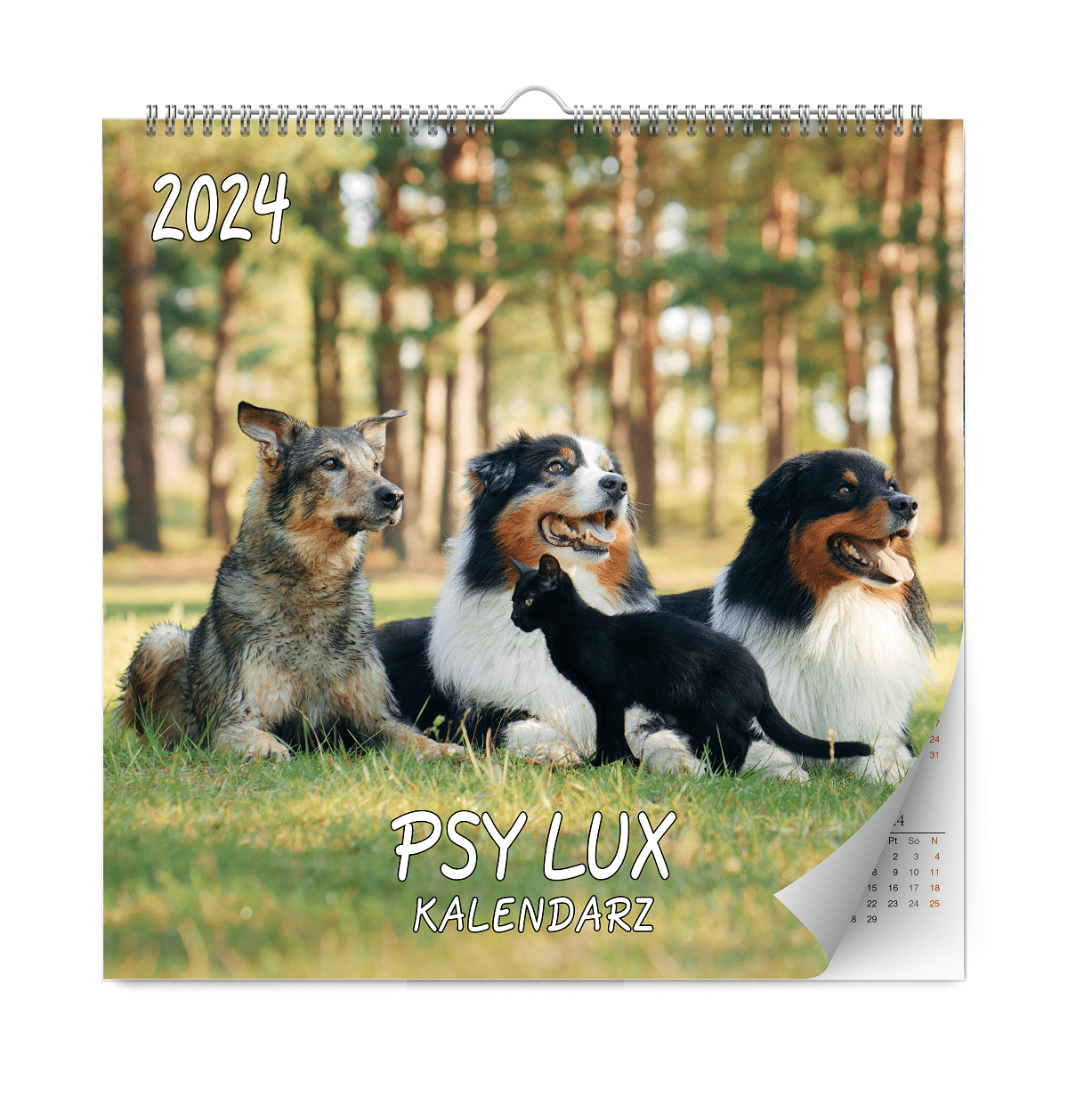 Kalendarz 2024 Psy lux ścienny
