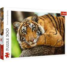 Puzzle 500 elementów Portet tygrysa