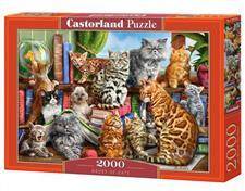 Puzzle 2000 el C-200726-2 House of Cats