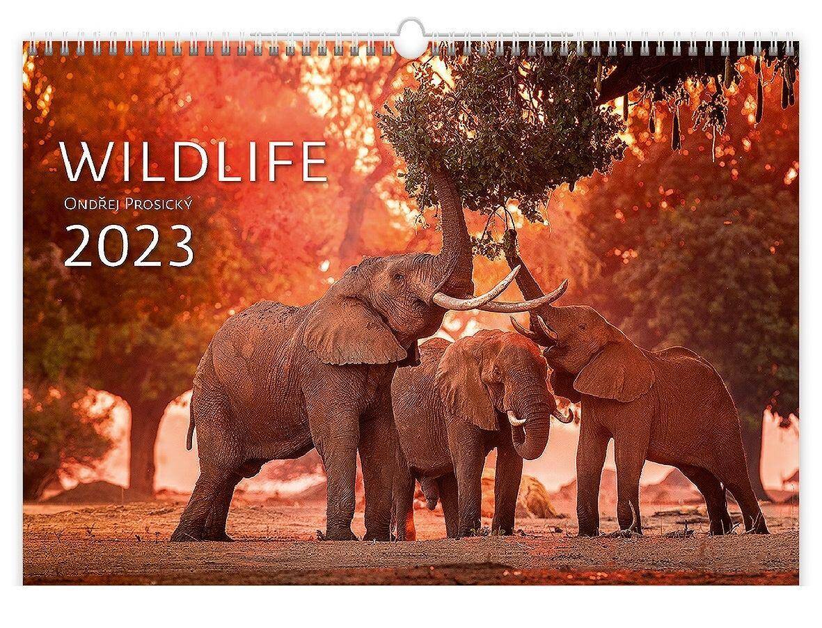 Kalendarz 2023 ścienny Wildlife