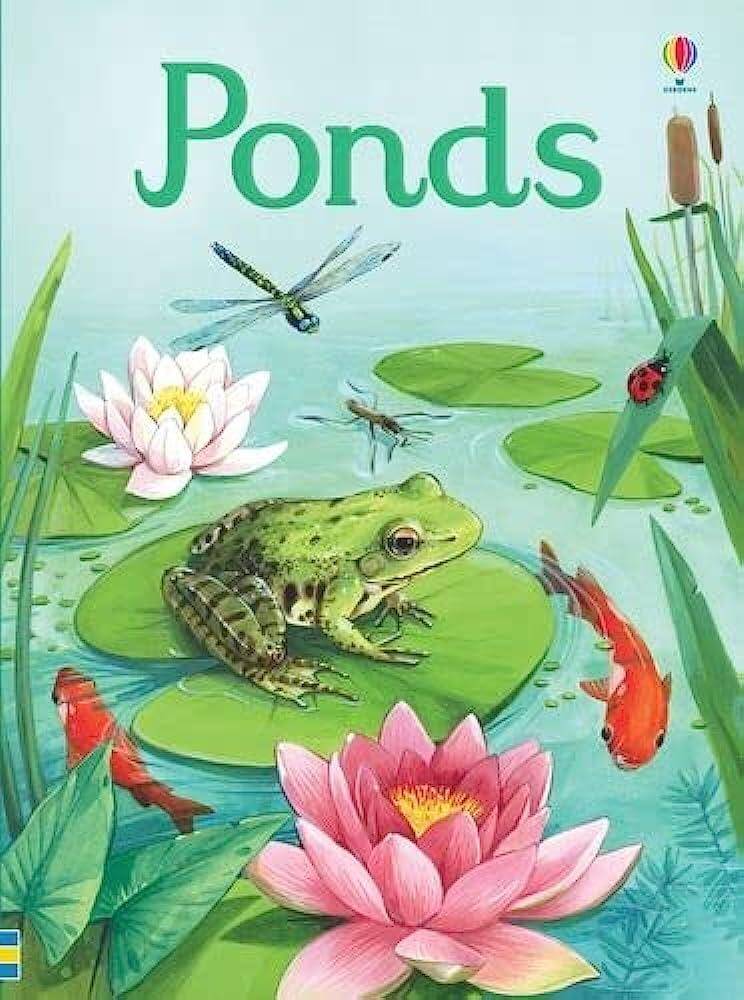 Ponds by Emily Bone
