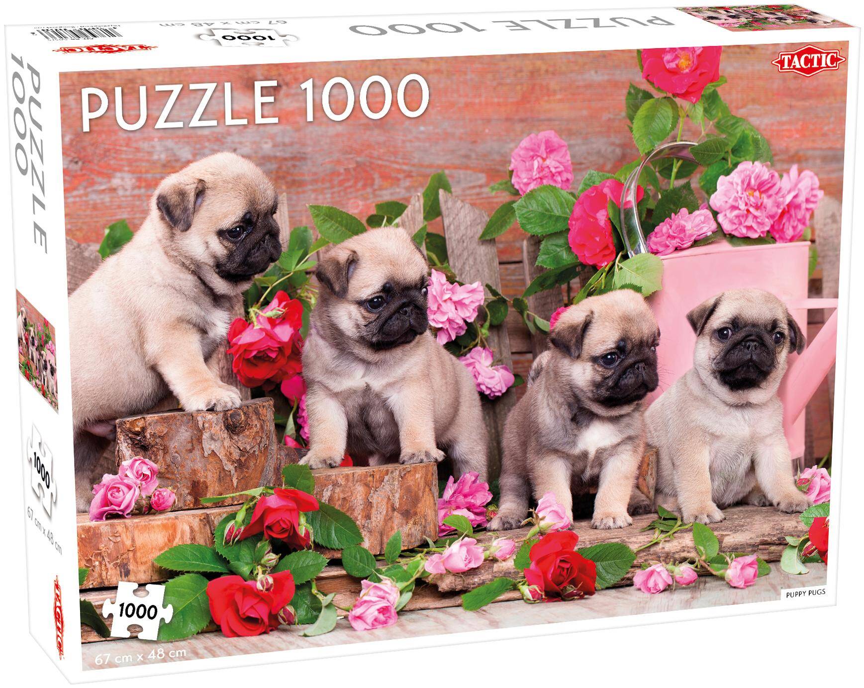 Puzzle 1000 Animals Puppy Pugs