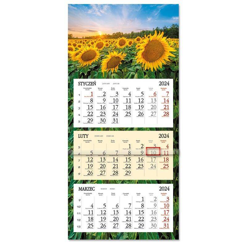 Kalendarz 2024 Trójdzielny płaska główka SB8-2 Słoneczniki