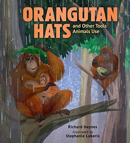 Orangutan Hats