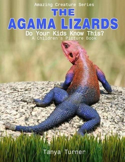 The Agama Lizard : Do Your Kids Know This?: A Children's Picture