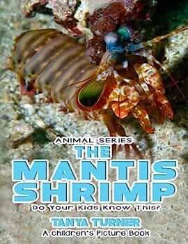 THE MANTIS SHRIMP Do Your Kids Know This? : A Children's Picture