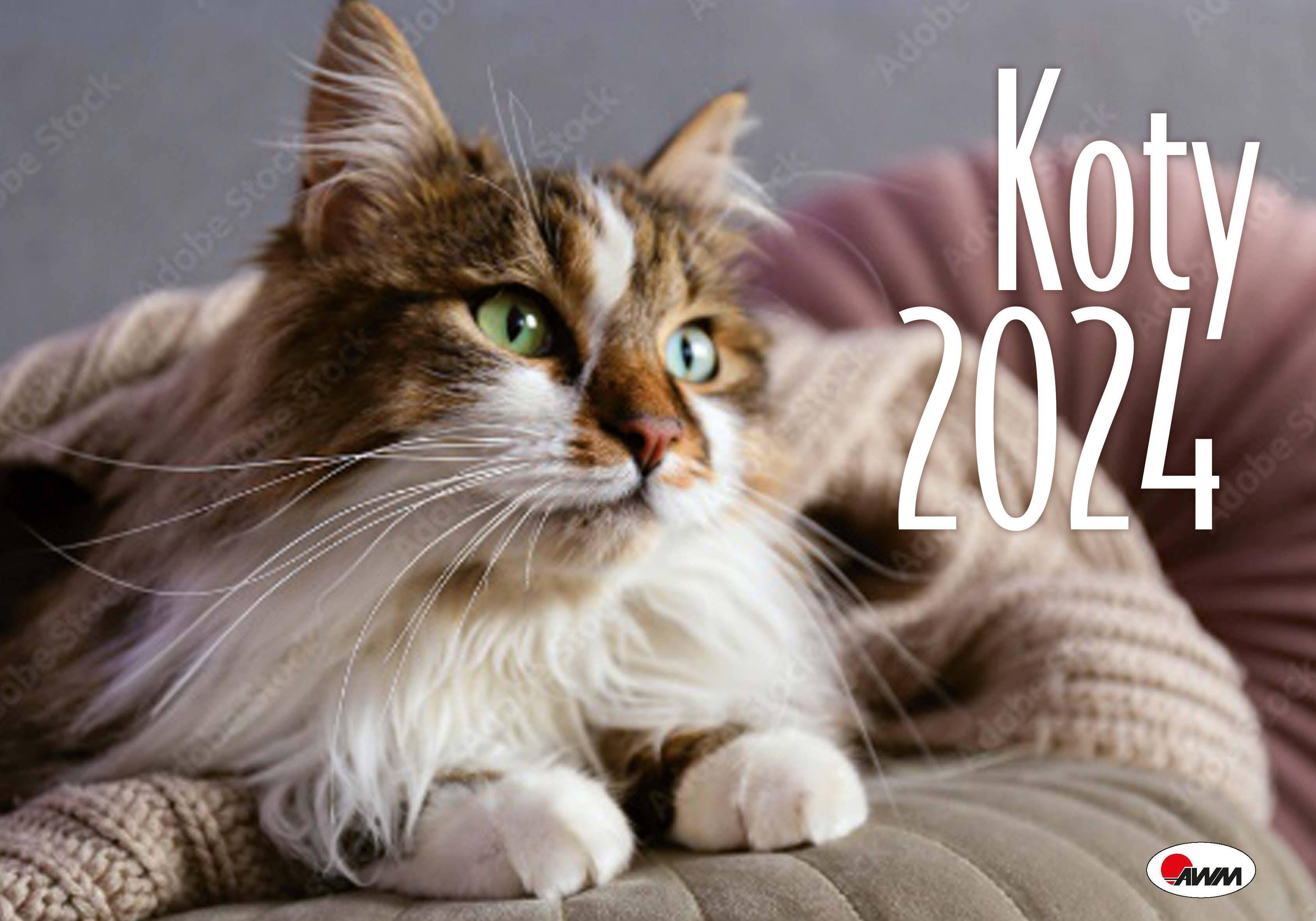 Kalendarz 2024 Koty KA2 ścienny