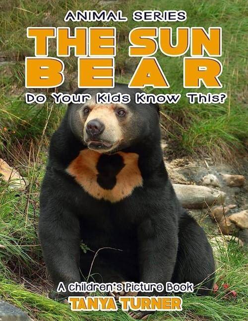 The Sun Bear Do Your Kids Know This? : A Children's Picture Book
