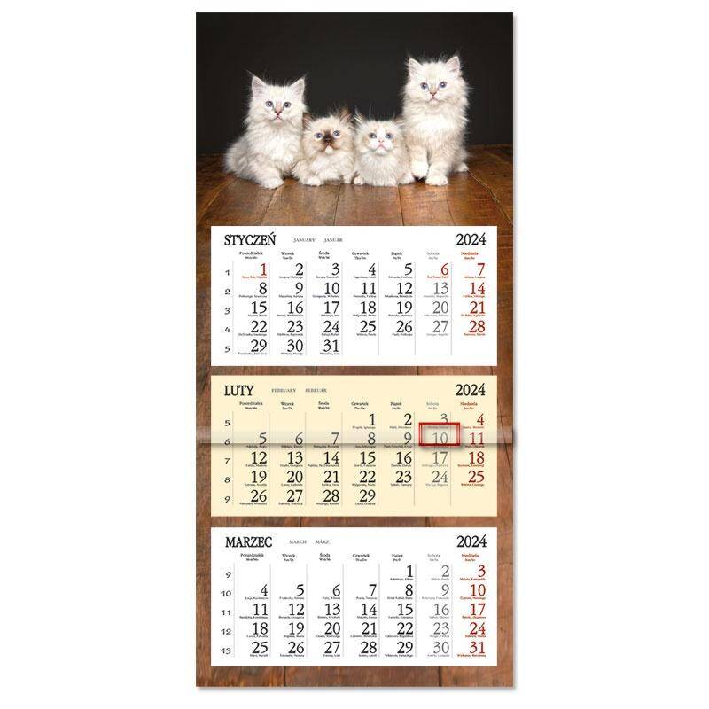 Kalendarz 2024 Trójdzielny płaska główka SB8-17 Białe kociaki