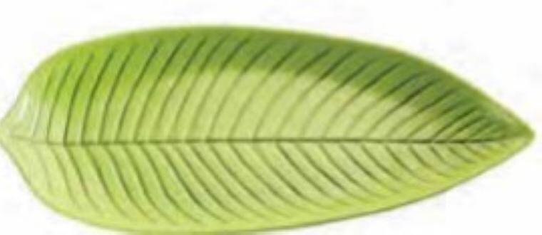 LEAF 450x240 mm