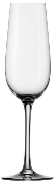 PINOTAGE FLUTE cap. 200 ml