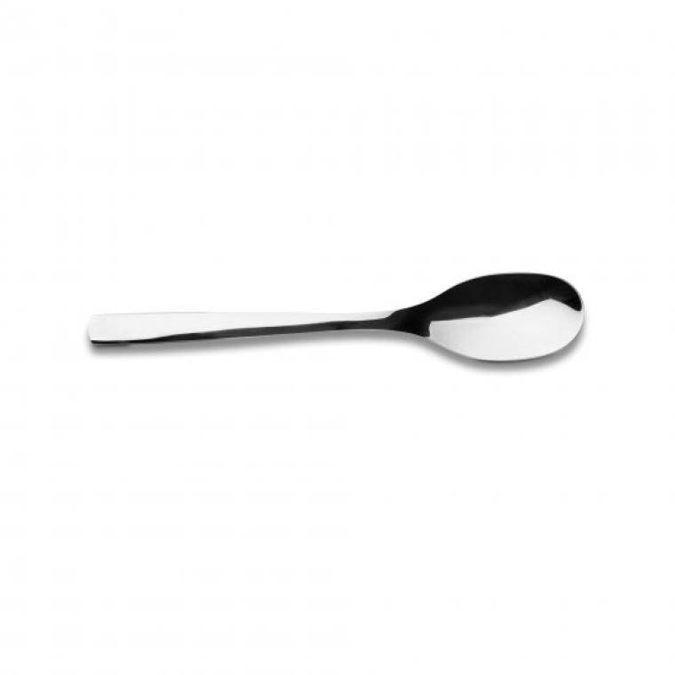 GUEST SPOON 117 mm