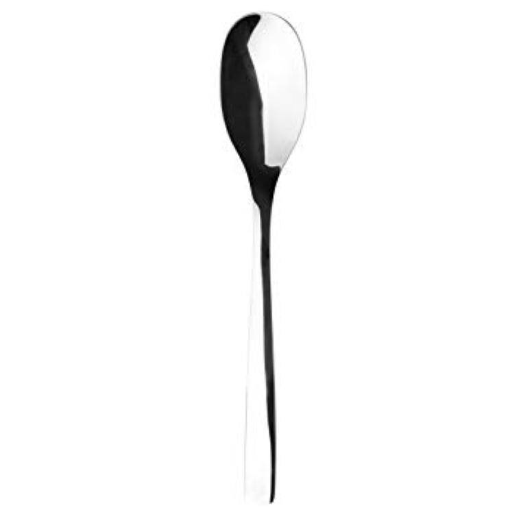 GUEST SPOON 216 mm