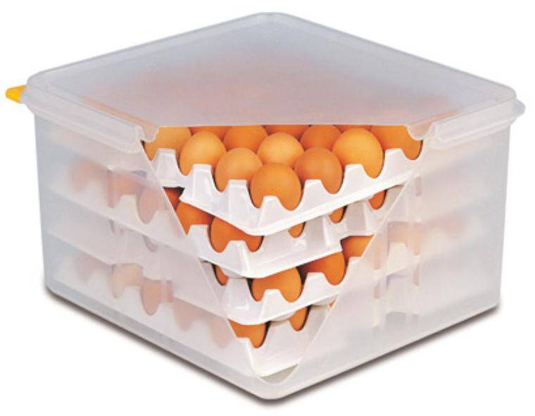 EGGS-BOX, GN 2/3 325x354 mm