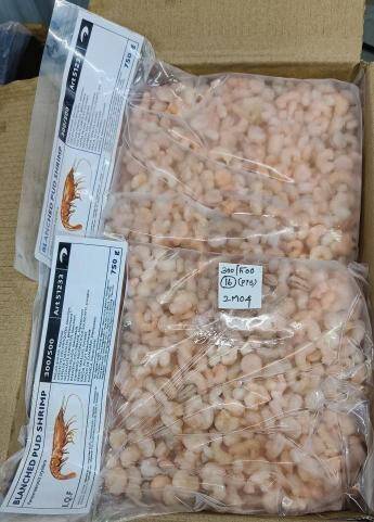 100/200 krew.koktajlowa 750g,1kg/10 Thalassa