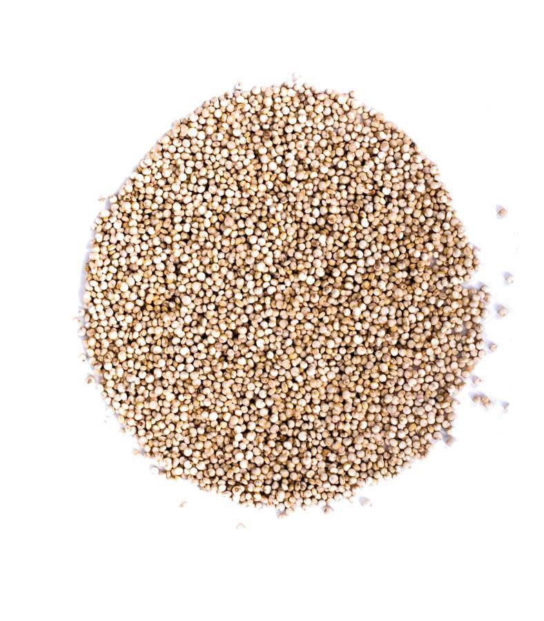 Quinoa - komosa ryżowa 25kg/szt