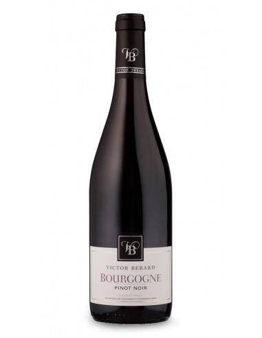 Wino fr. V. Berard Bourgogne Pinot Noir AOP 12,5% CW 750ml/6 e