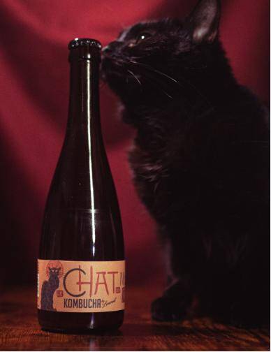 Kombucha LA chat de Montmartre 375ml/6 By Laurent