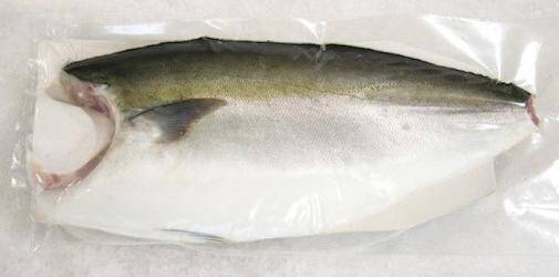Seriola Hamachi (Yellowtail) filet z/s 1-3kg świeży VAC