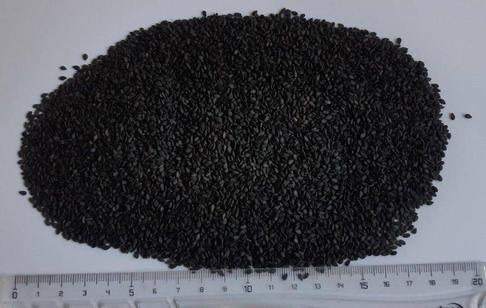 Sezam czarny 1kg/12 Adix