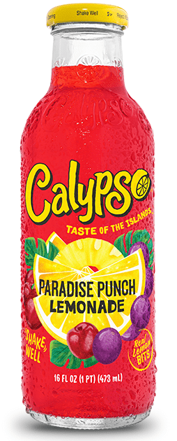 Calypso Paradise Punch 473ml/12 e