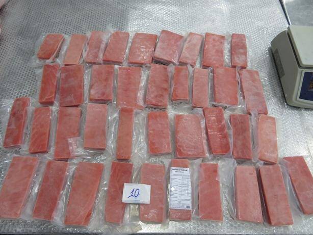 Tuńczyk sashimi blok Saku 150/400g (10kg/krt), kg
