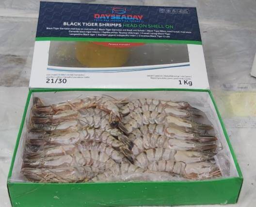 31/40 krew.cała Vann.750g, gl.25%, 1kg/12 Dayseaday