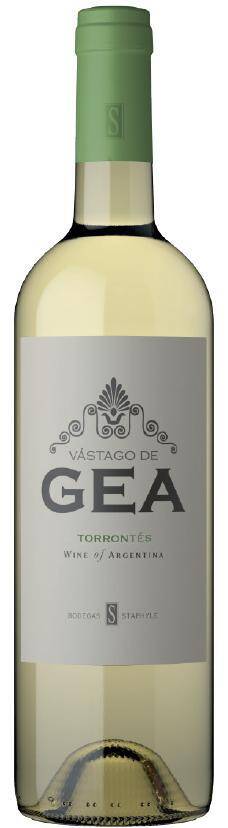 Wino Argentyna B. Staphyle Vastago De Gea Entry Torrontes 13,5% BW 750ml/6