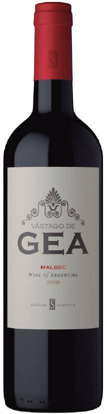 Wino Argentyna B. Staphyle Vastago De Gea Entry Malbec 13,5% CW 750ml/6