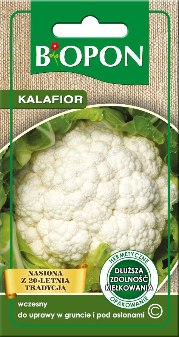 Kalafior 1 g Biopon nasiona