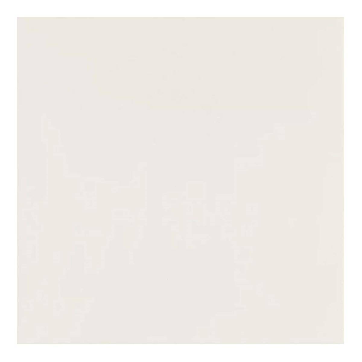 Gres szkliwiony 60x60 cm Elegant bianco mat rektyfikowany Paradyż