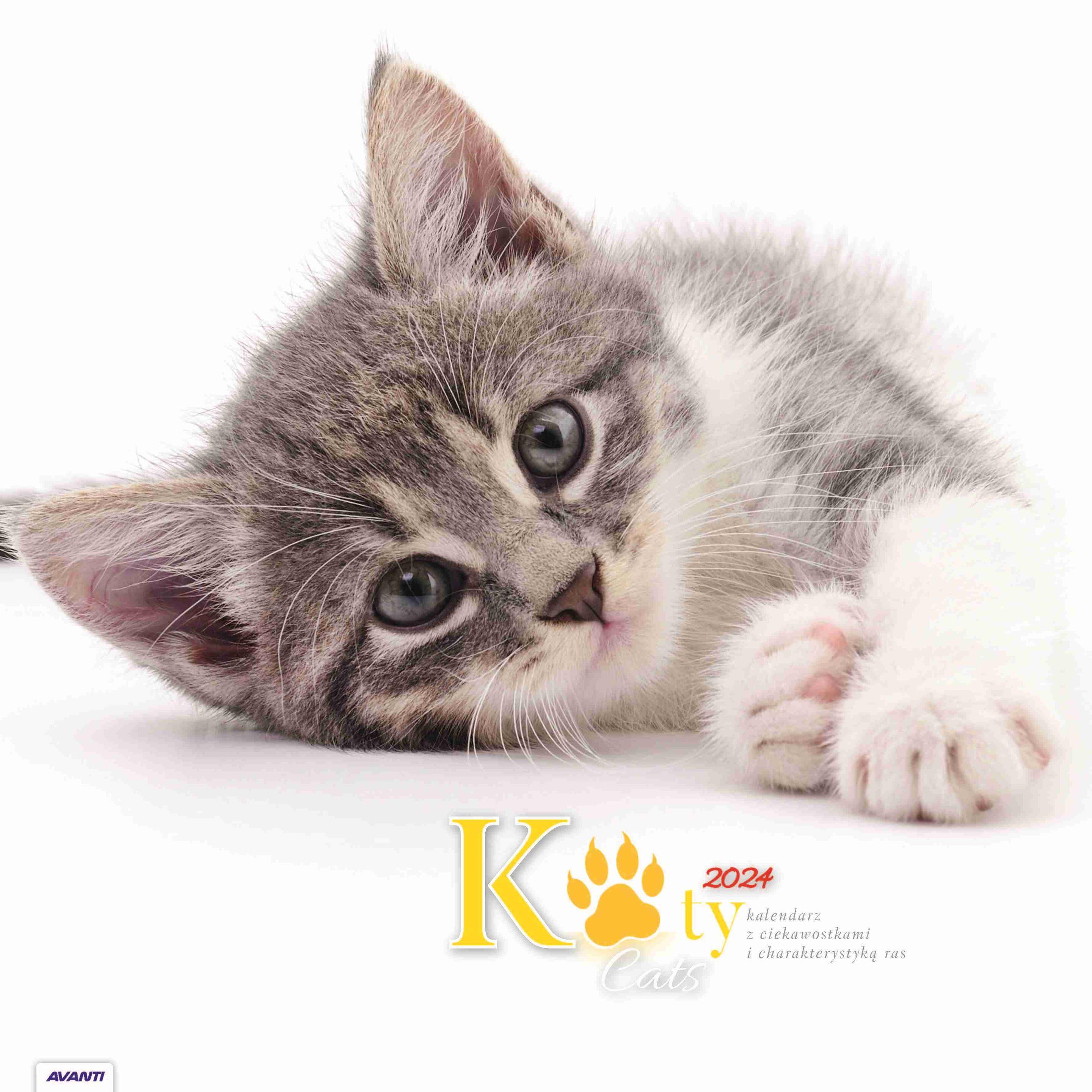 Kalendarz 2024 Koty z ciekawostkami albumowy duży KAD9