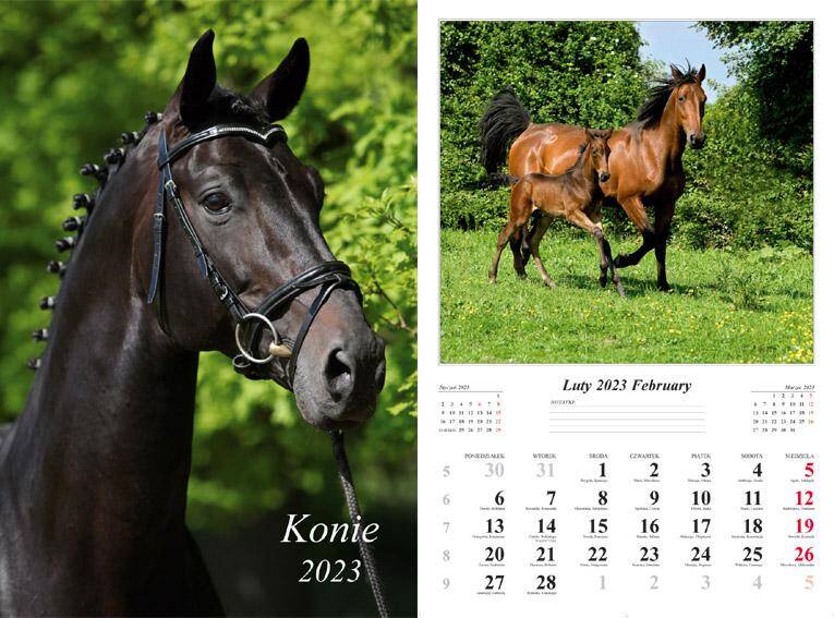 Kalendarz 2023 ścienny 13-K Konie