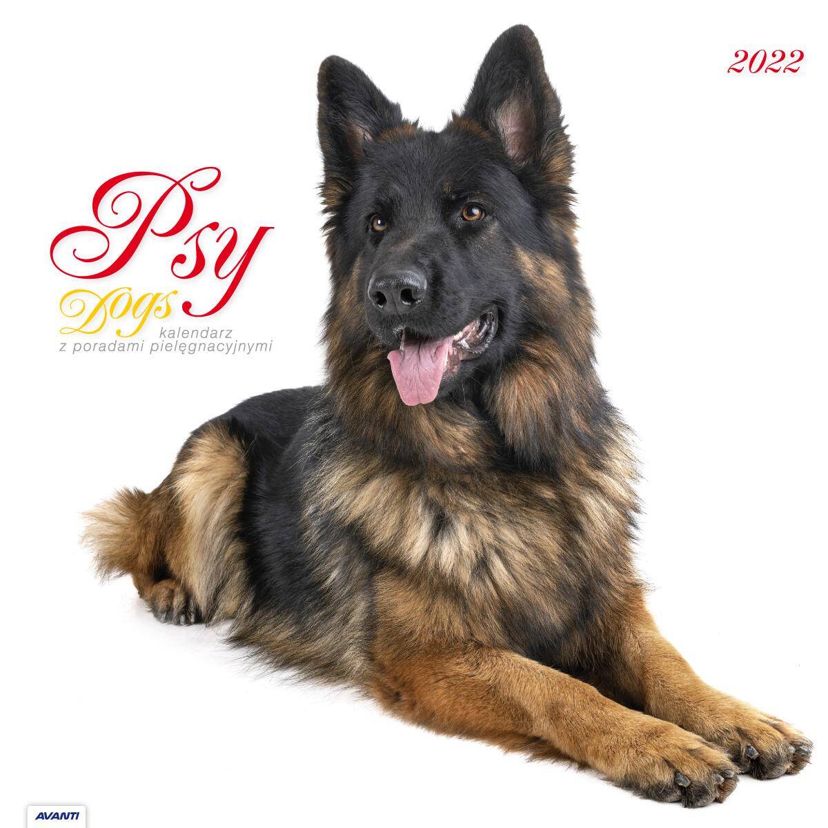 Kalendarz 2022 albumowy duży Psy z poradami KAD10