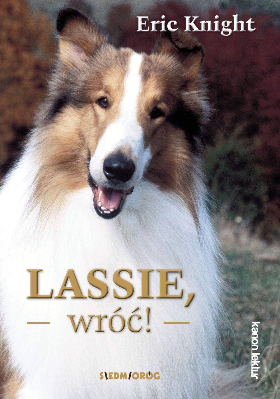 Lassie, wróć! wyd. 2022