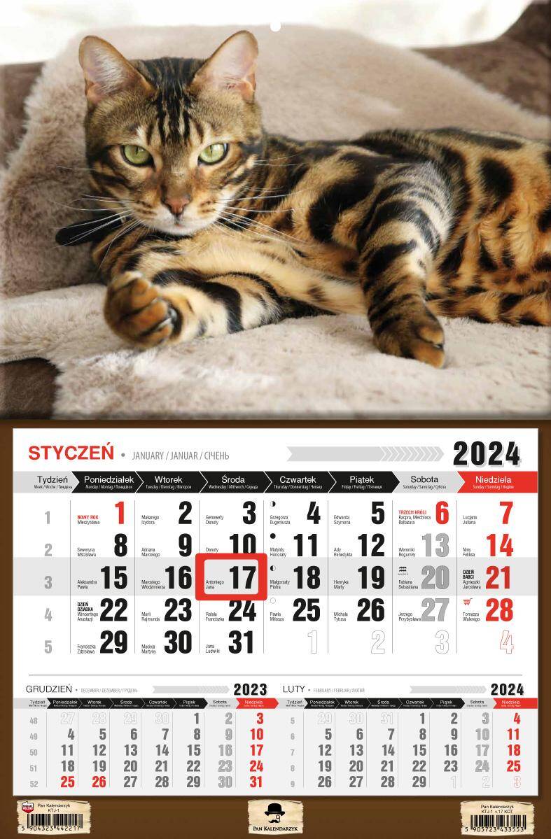Kalendarz 2024 jednodzielny Kot KTJ1-V.17