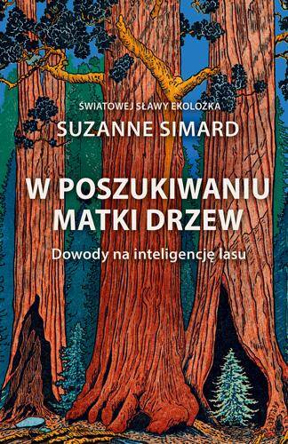 W poszukiwaniu matki drzew. Dowody na inteligencję lasu