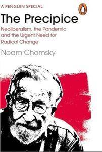 The Precipice  Noam Chomsky