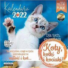 Kalendarz 2022 12 planszowy Koty, kotki, kociaki