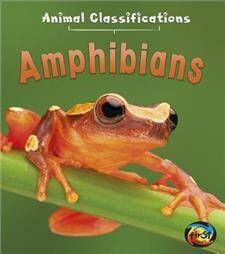 Animal Classifications: Amphibians