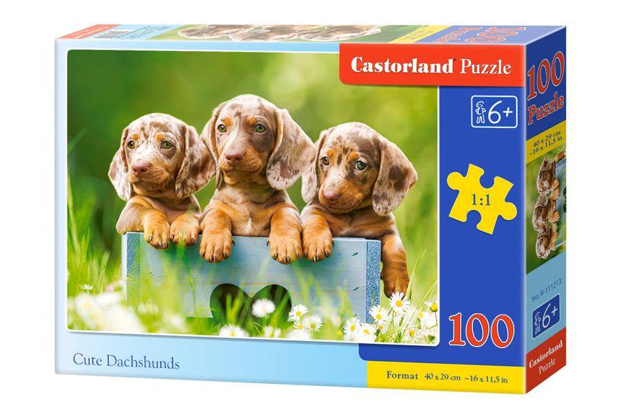 Puzzle 100 Urocze jamniki B-111213