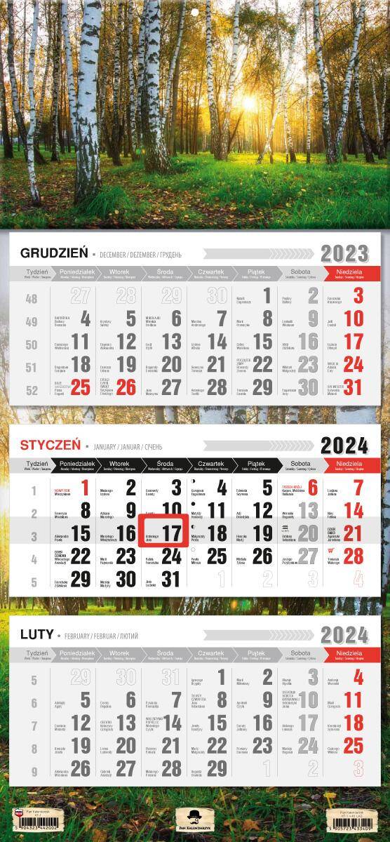 Kalendarz 2024 trójdzielny Las KT1-V.46