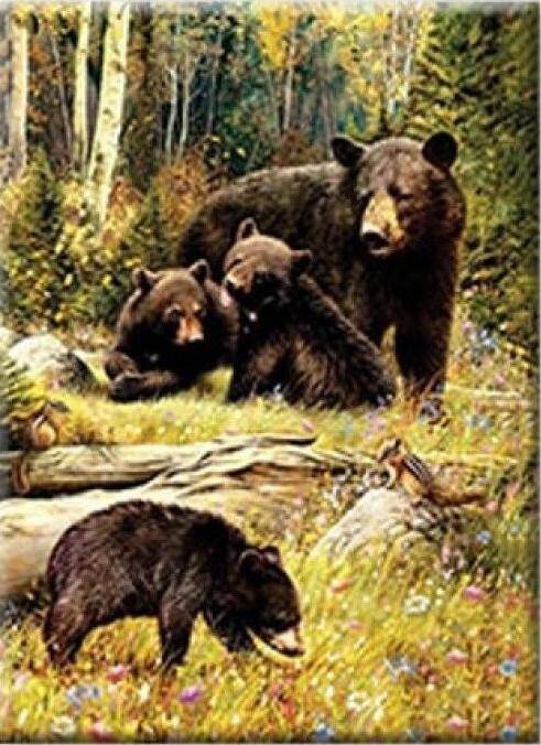 Diamentowa mozaika niedźwiedzie na polanie NO-1008648