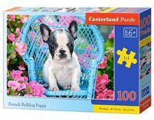 Puzzle 100 French Bulldog Puppy