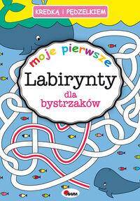 Kredką i pędzelkiem Moje pierwsze labirynty dla bystrzaków